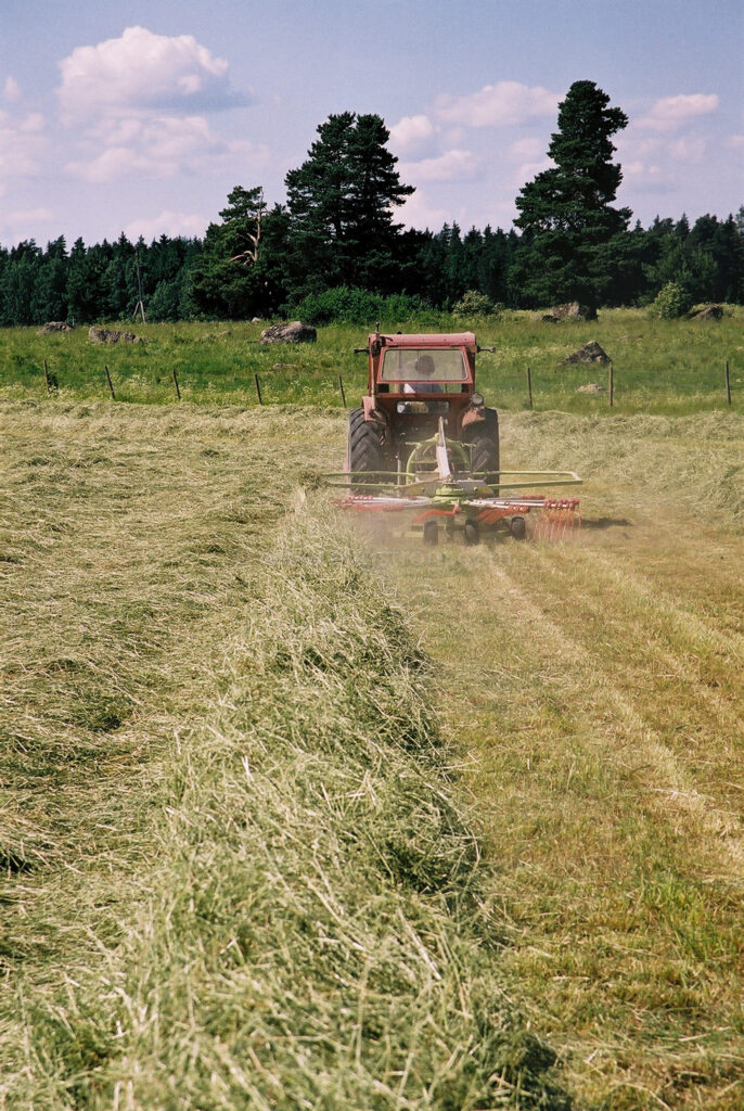 JE0104_10, Höskörd Sörmland sommaren 2001. Strängläggning med Volvo BM och Claas strängläggare, Jonas Engström