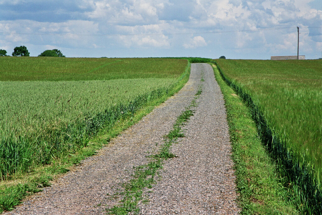 JE0310_10, Väg till gård i Skåne, Jonas Engström