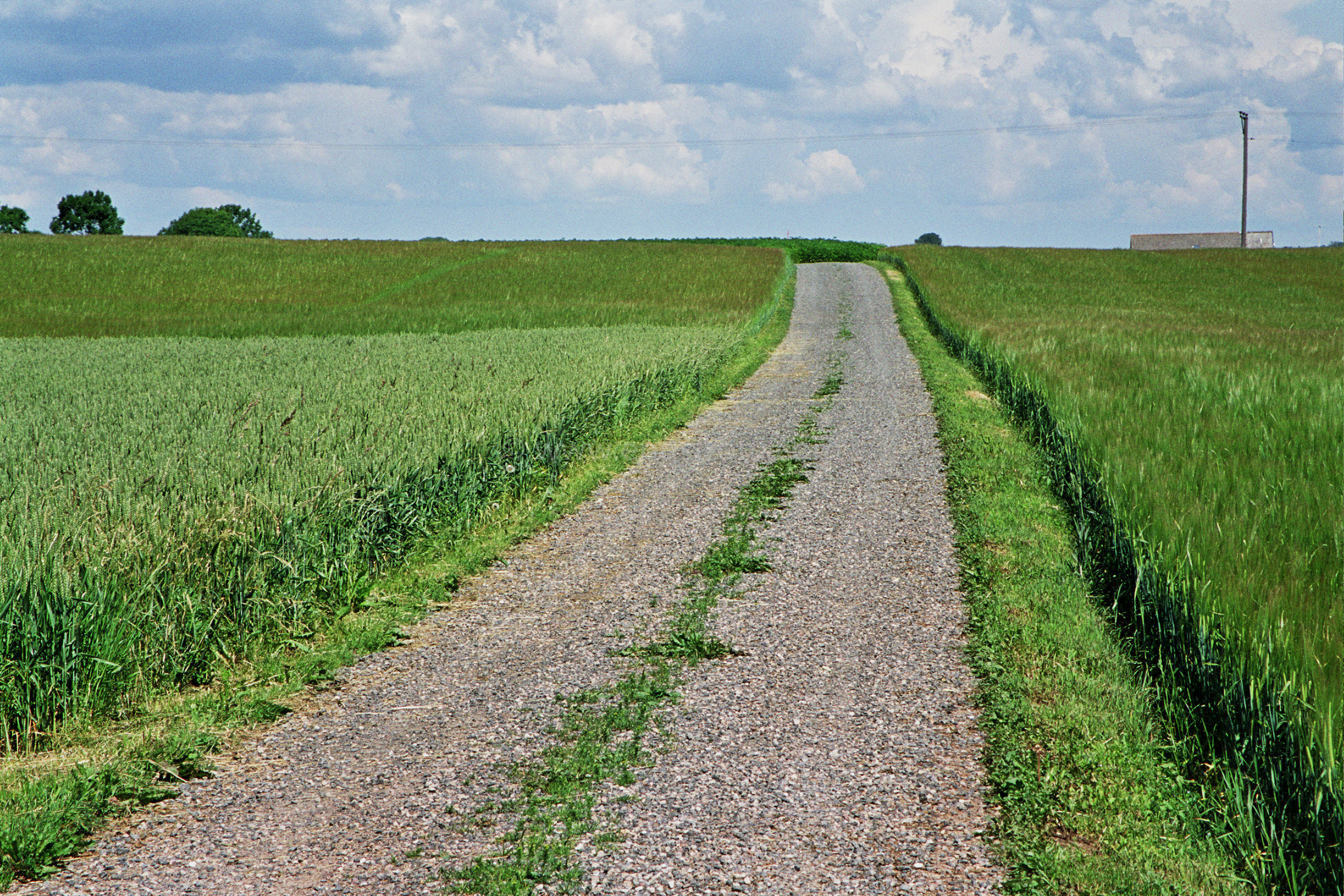 JE0310_10, Väg till gård i Skåne, Jonas Engström