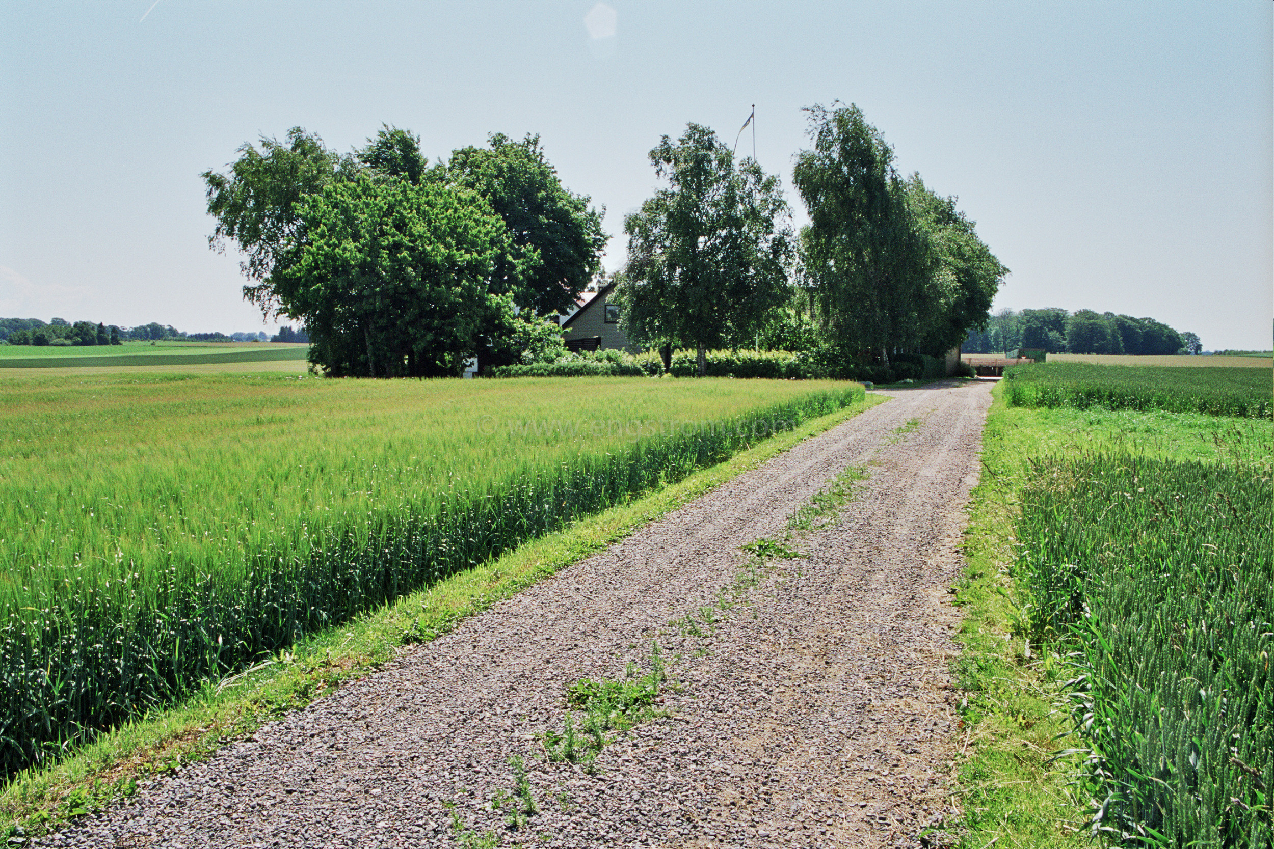 JE0310_12, Väg till gård i Skåne, Jonas Engström