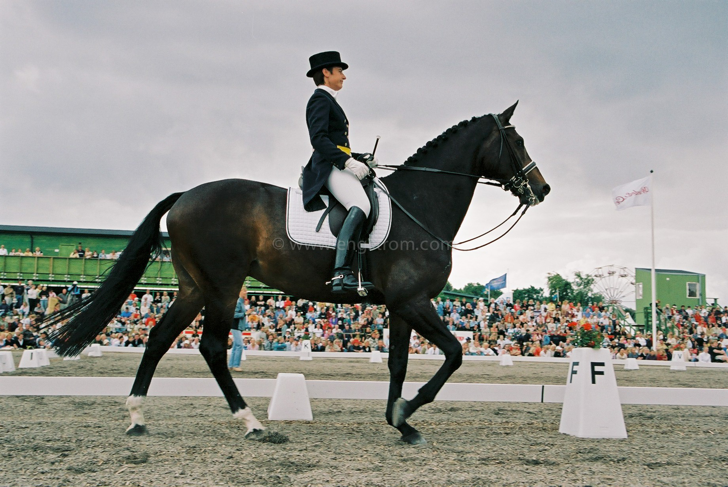 JE0314_07, Dressyrhäst på Falsterbo horseshow, Jonas Engström