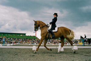 JE0314_08, Dressyrhäst i trav på Falsterbo horseshow, Jonas Engström