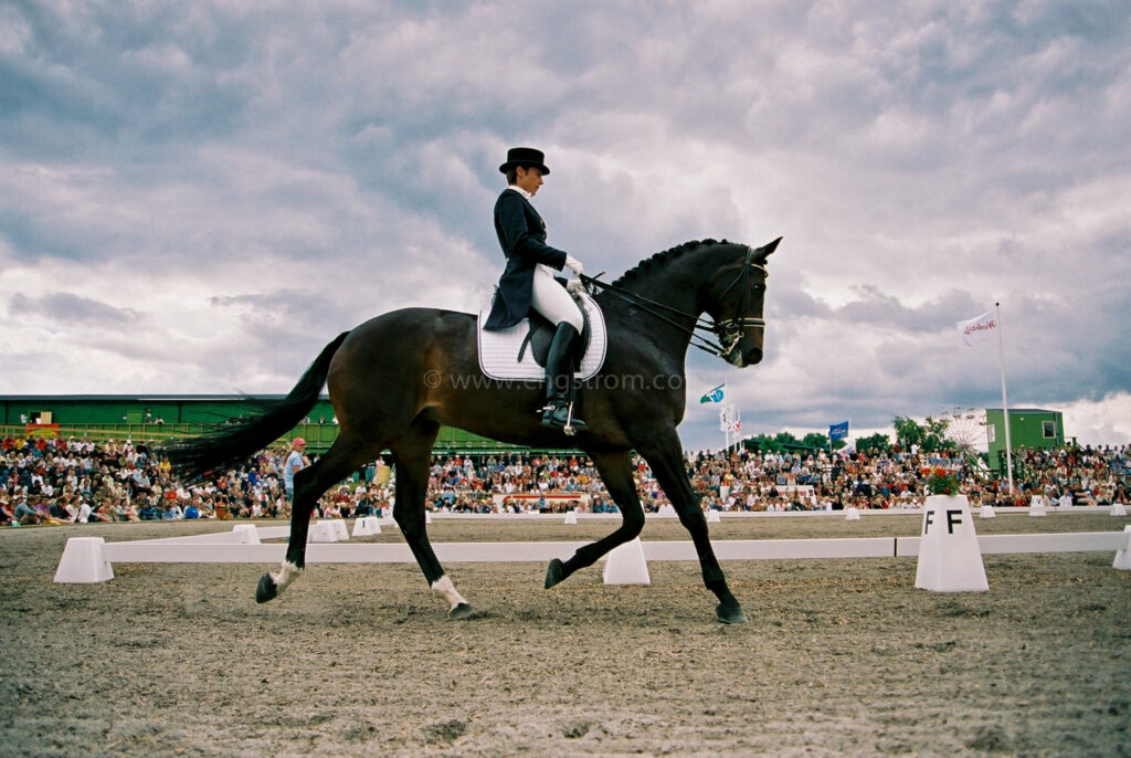 JE0314_10, Dressyrhäst i trav på Falsterbo horseshow, Jonas Engström