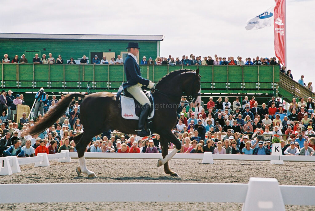 JE0315_24, Jan Brink Falsterbo Horseshow sommaren 2003, Jonas Engström