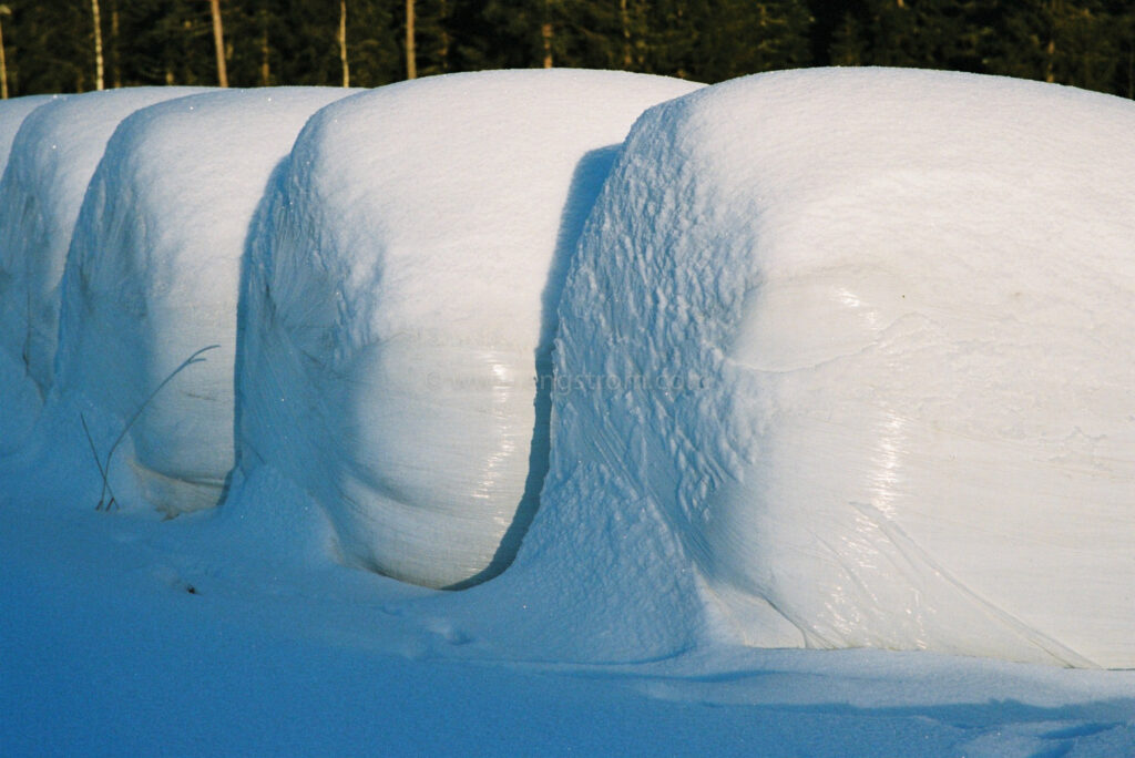 JE0400_046, Ensilagebalar på vintern. Hälsingland vintern 2004, Jonas Engström