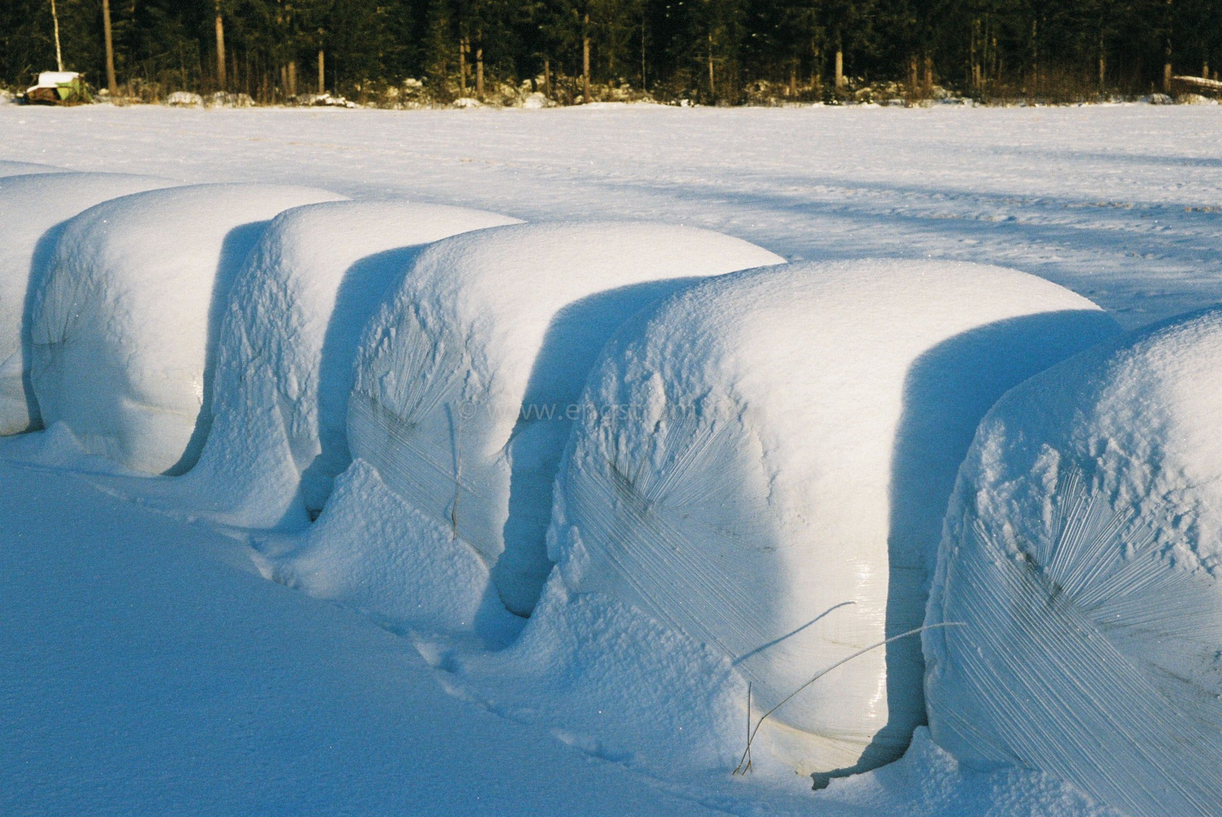 JE0400_047, Ensilagebalar på vintern. Hälsingland vintern 2004, Jonas Engström