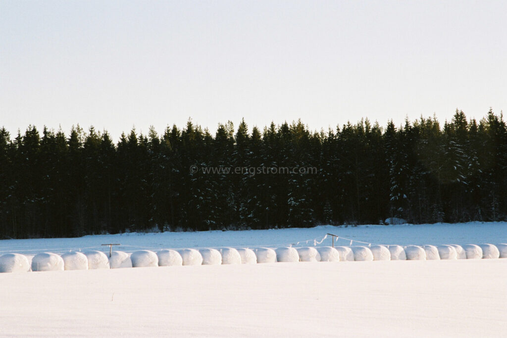 JE0400_054, Ensilagebalar på vintern. Hälsingland vintern 2004, Jonas Engström