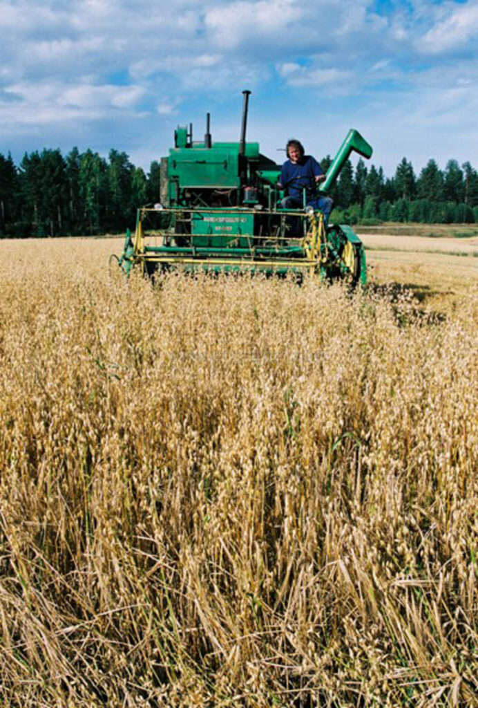 JE0425_081, Tröskning med gammal Volvo BM tröska från 60-talet., Jonas Engström