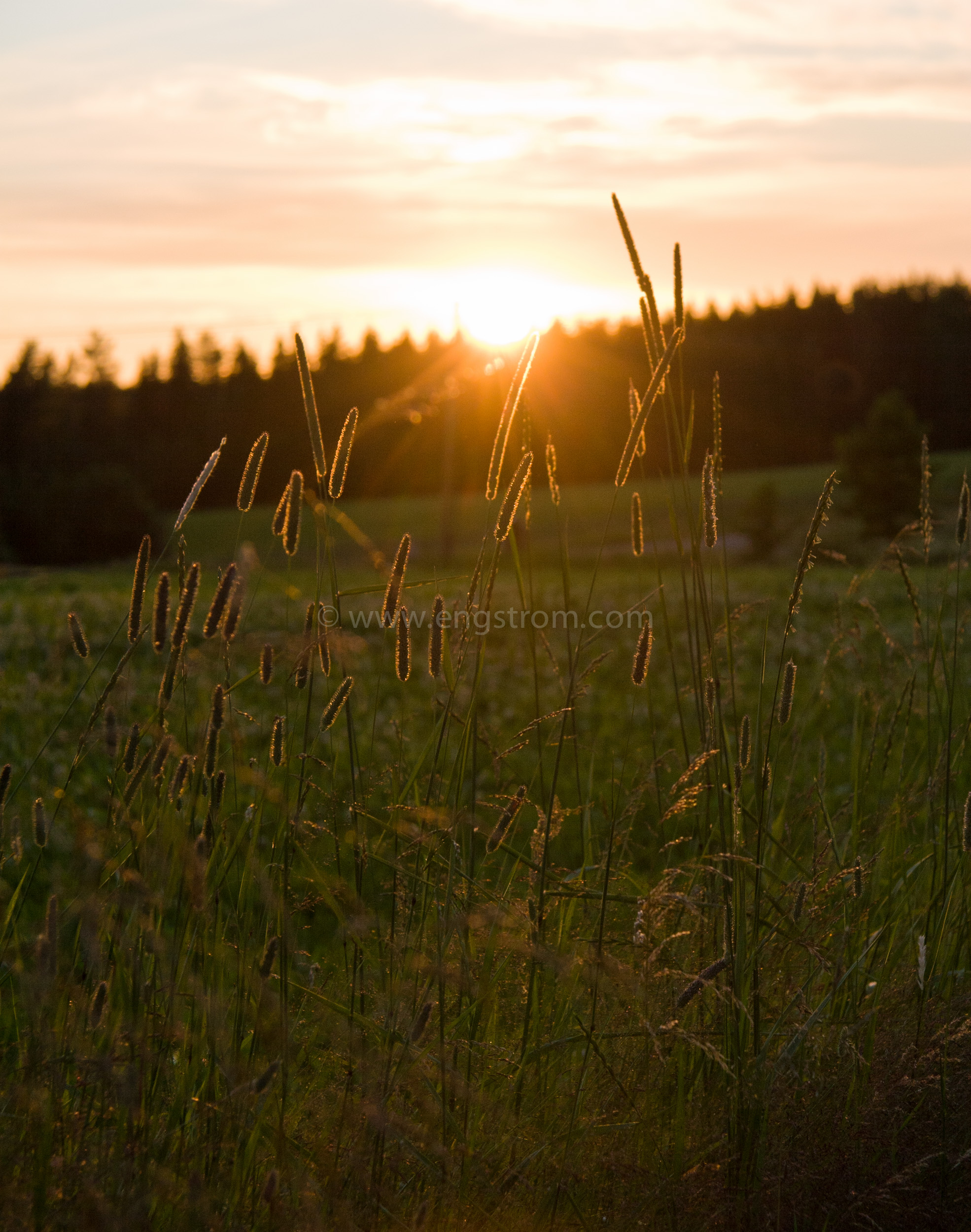 JE_11501, Solnedgång på sommaren, Jonas Engström