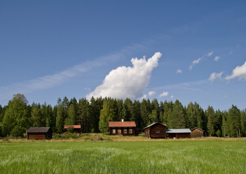 JE_11754, Vacker Hälsingegård i skogsbrynet, Jonas Engström