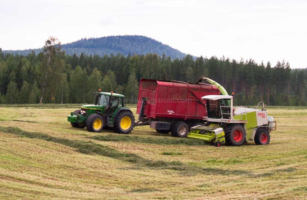 JE_18095, Ensilageskörd med Claas exakthack, Jonas Engström