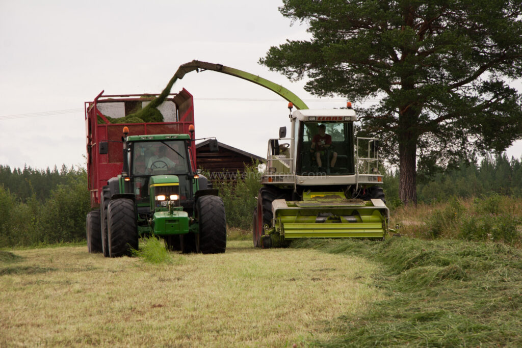 JE_18101, Ensilageskörd med Claas exakthack, Jonas Engström