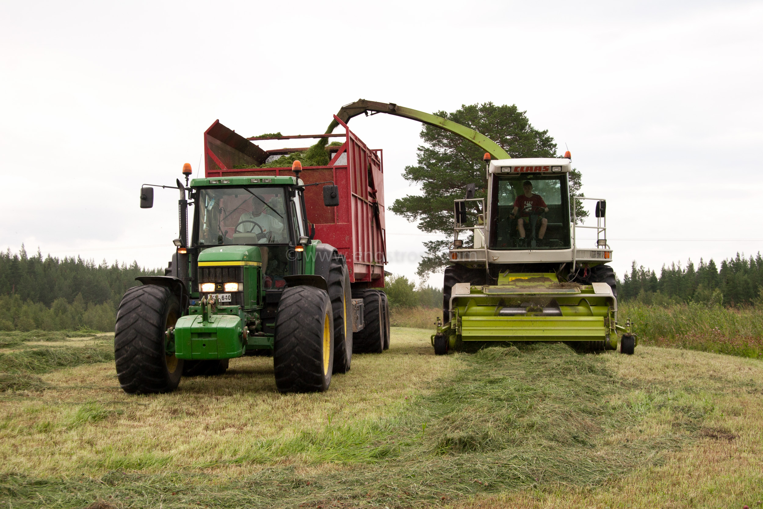 JE_18104, Ensilageskörd med Claas exakthack, Jonas Engström