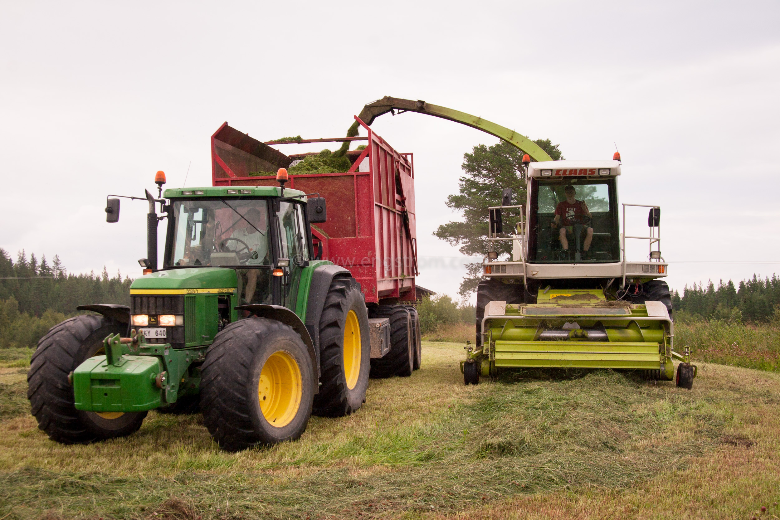 JE_18105, Ensilageskörd med Claas exakthack, Jonas Engström