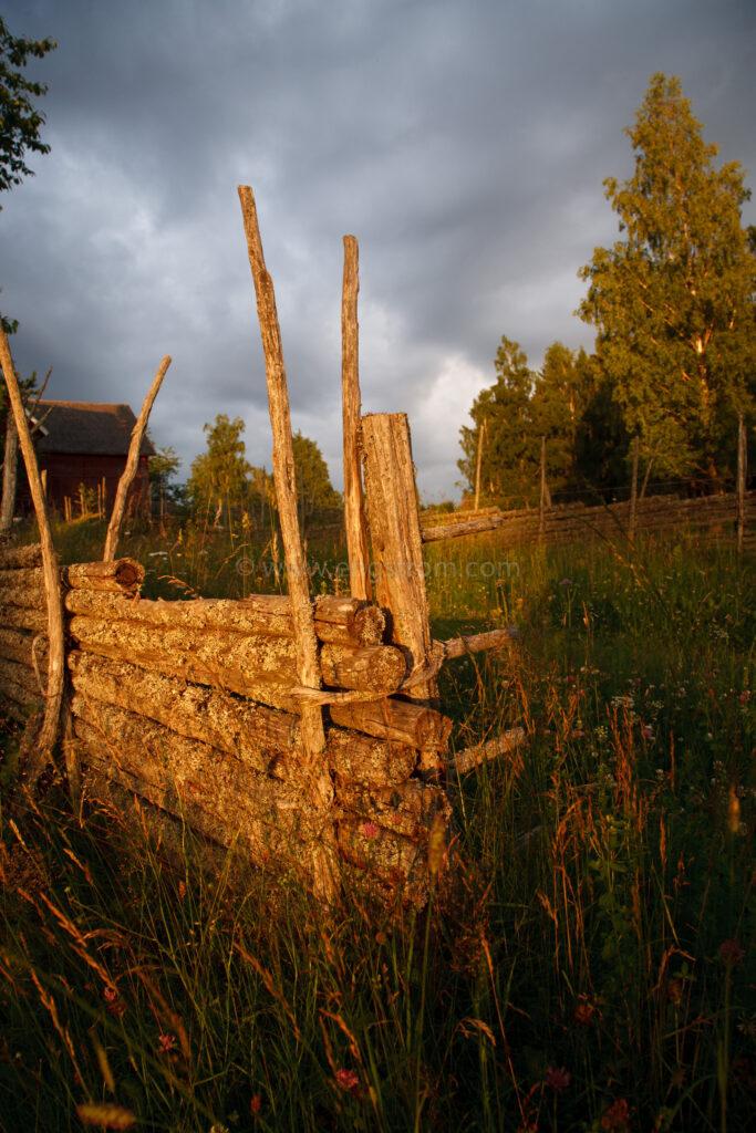 JE_20110707-201514, Gärdesgård i kvällssol, Jonas Engström