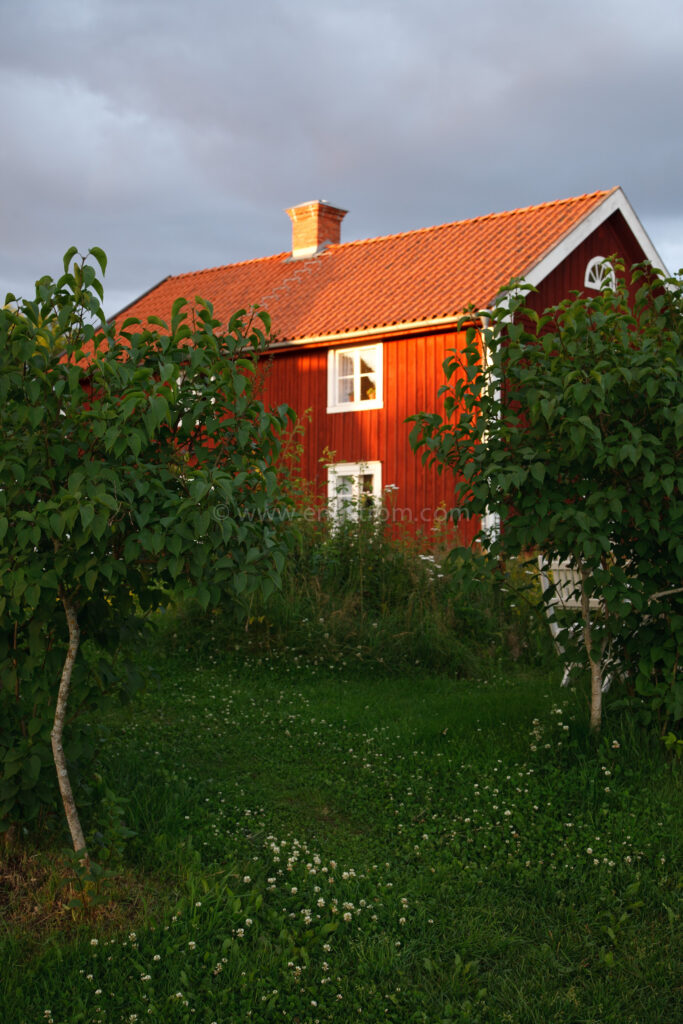 JE_20110707-201716, Rött hus med vita knutar i kvällssol, Jonas Engström
