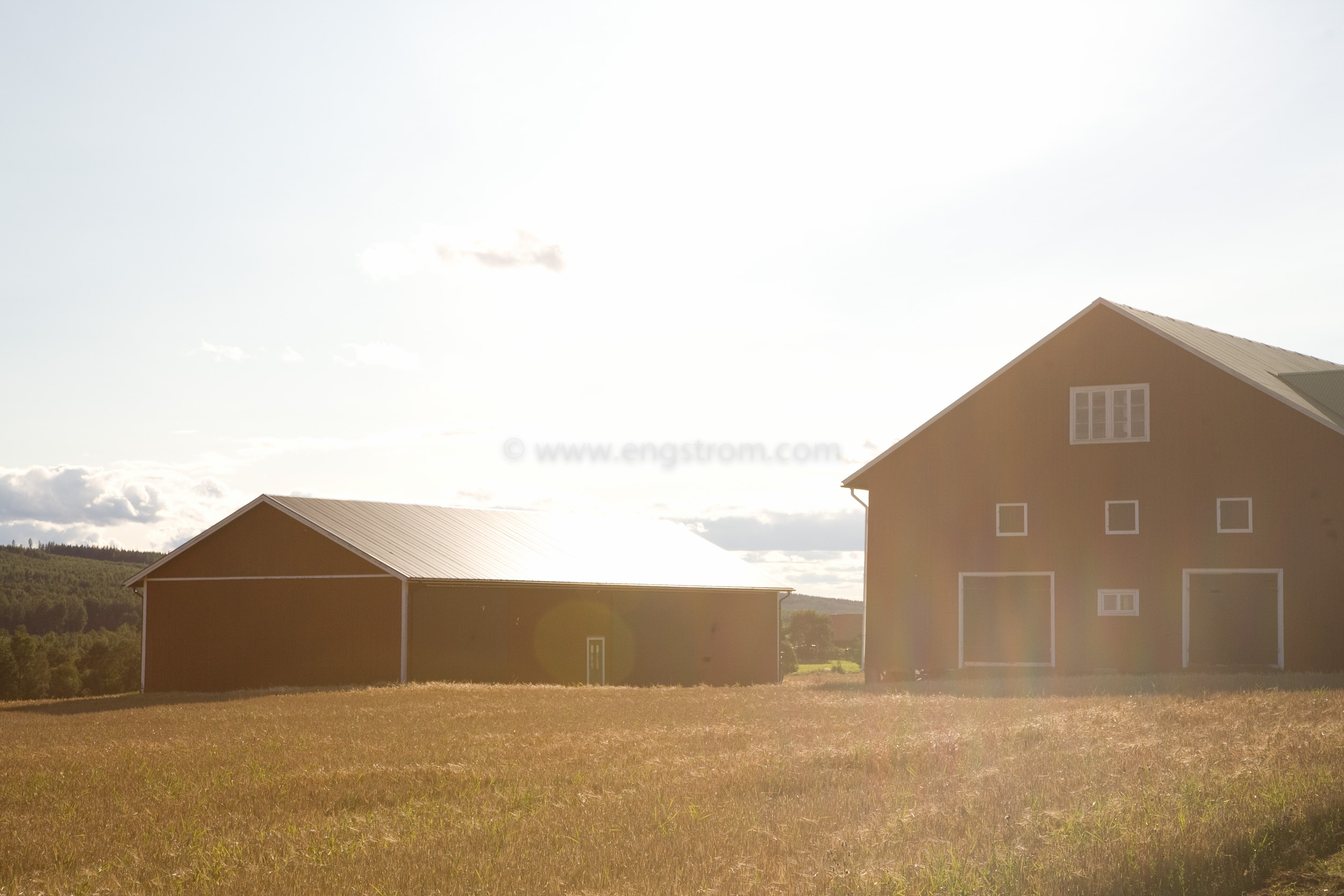 JE_66529, Solen skiner över ladorna, Jonas Engström