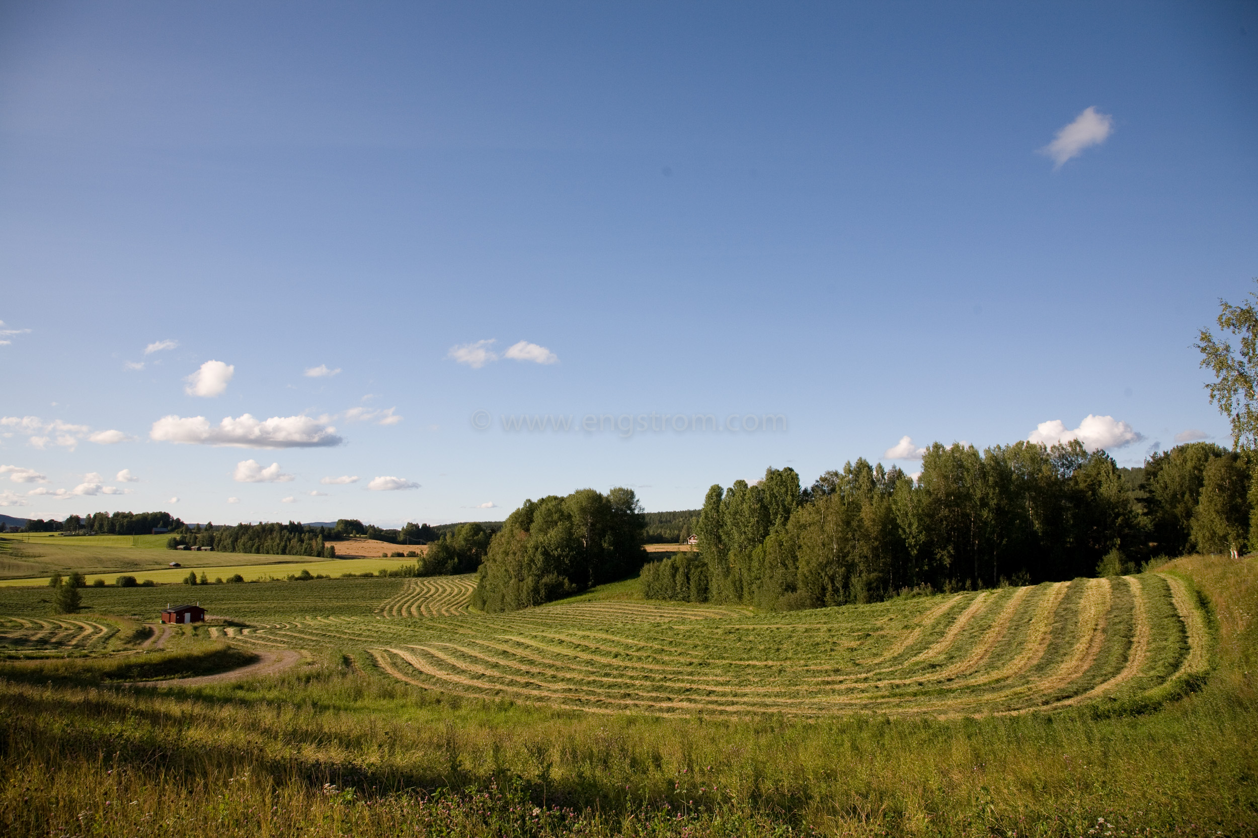 JE_66530, De nyslagna strängarna slingrar sig fram genom landskapet, Jonas Engström