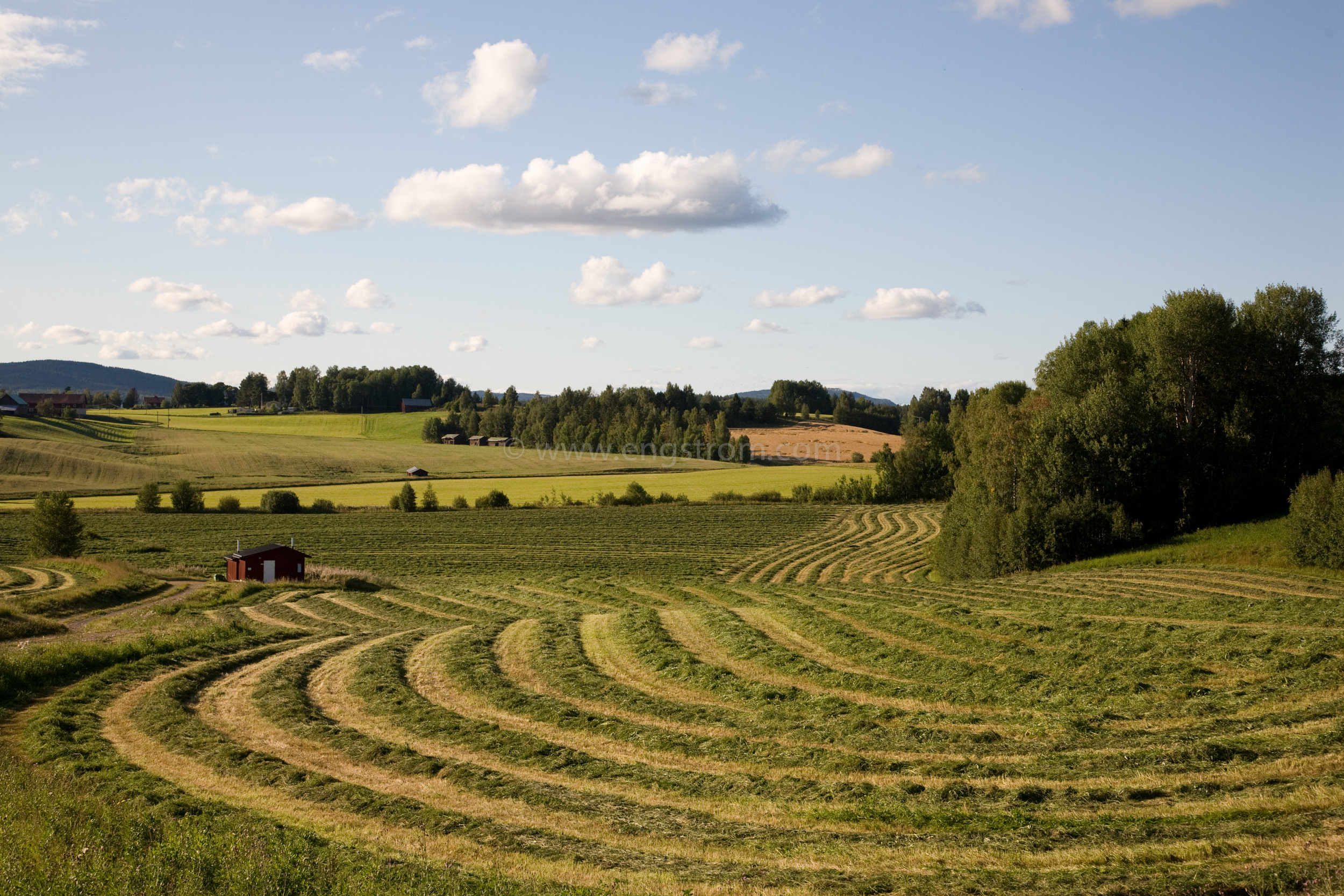 JE_66532, De nyslagna strängarna slingrar sig fram genom landskapet, Jonas Engström