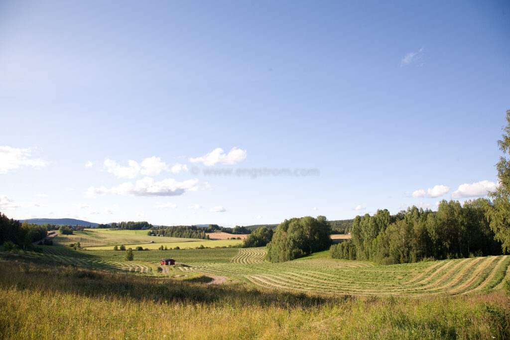 JE_66543, De nyslagna strängarna slingrar sig fram genom landskapet, Jonas Engström