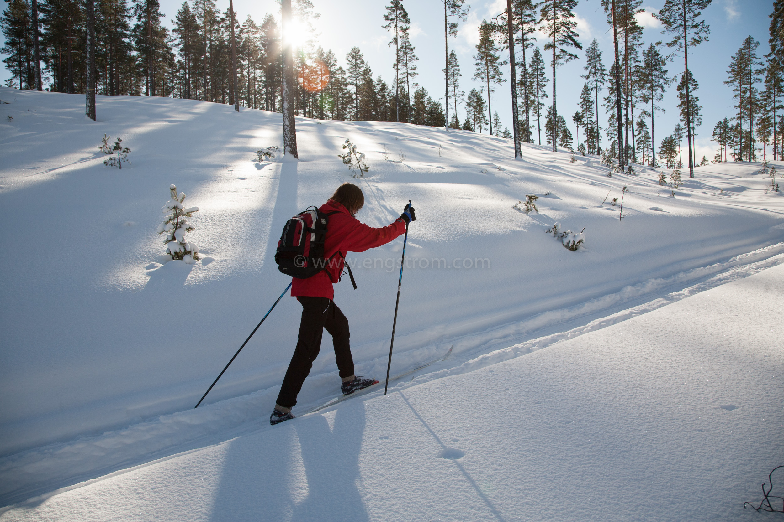 JE_72051, Skidåkning i skog i vinterskrud, Jonas Engström