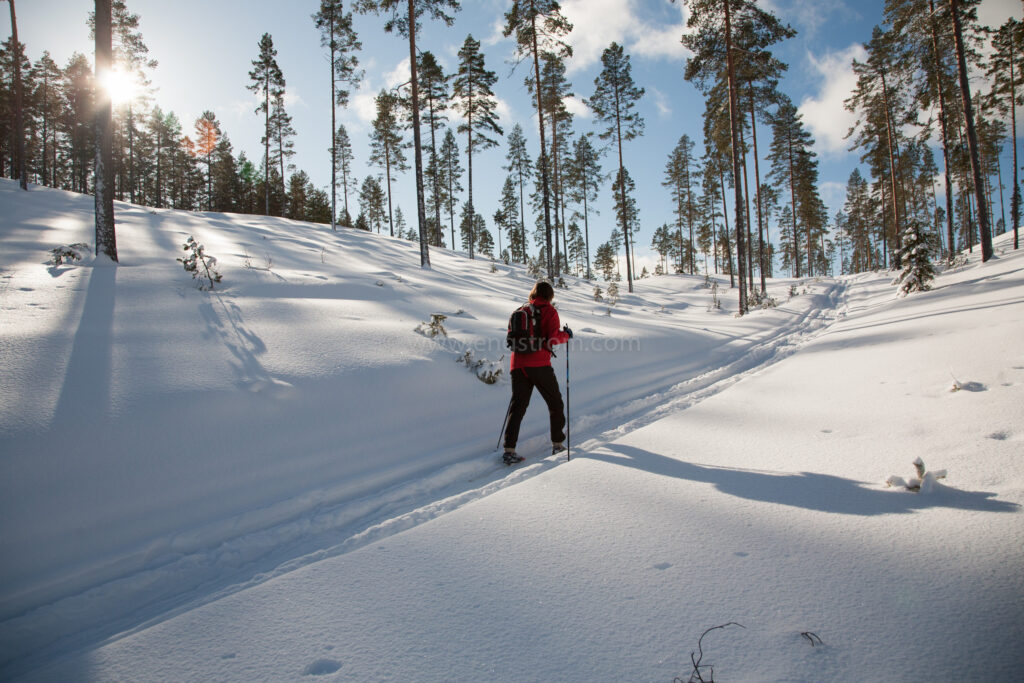 JE_72054, Skidåkning i skog i vinterskrud, Jonas Engström