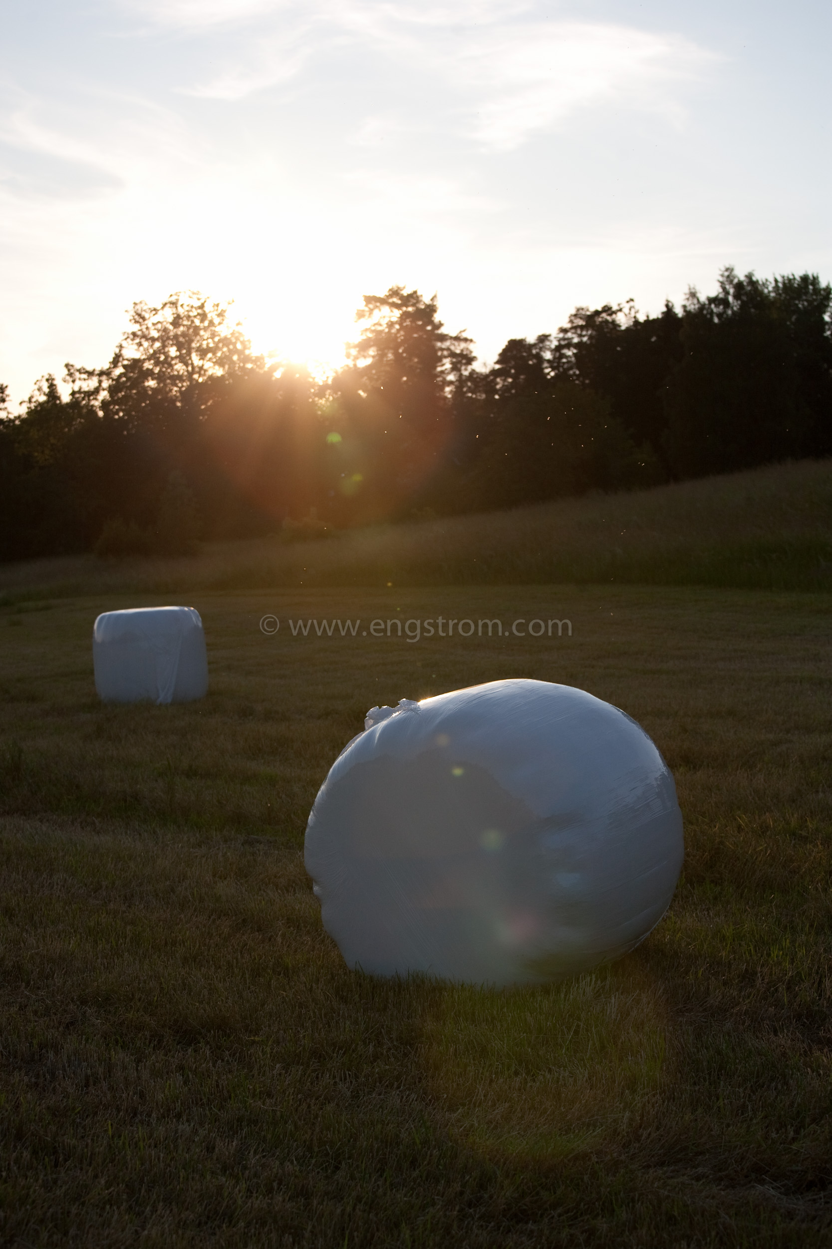 JE_74237, Rundbalar med ensilage i solnedgång, Jonas Engström