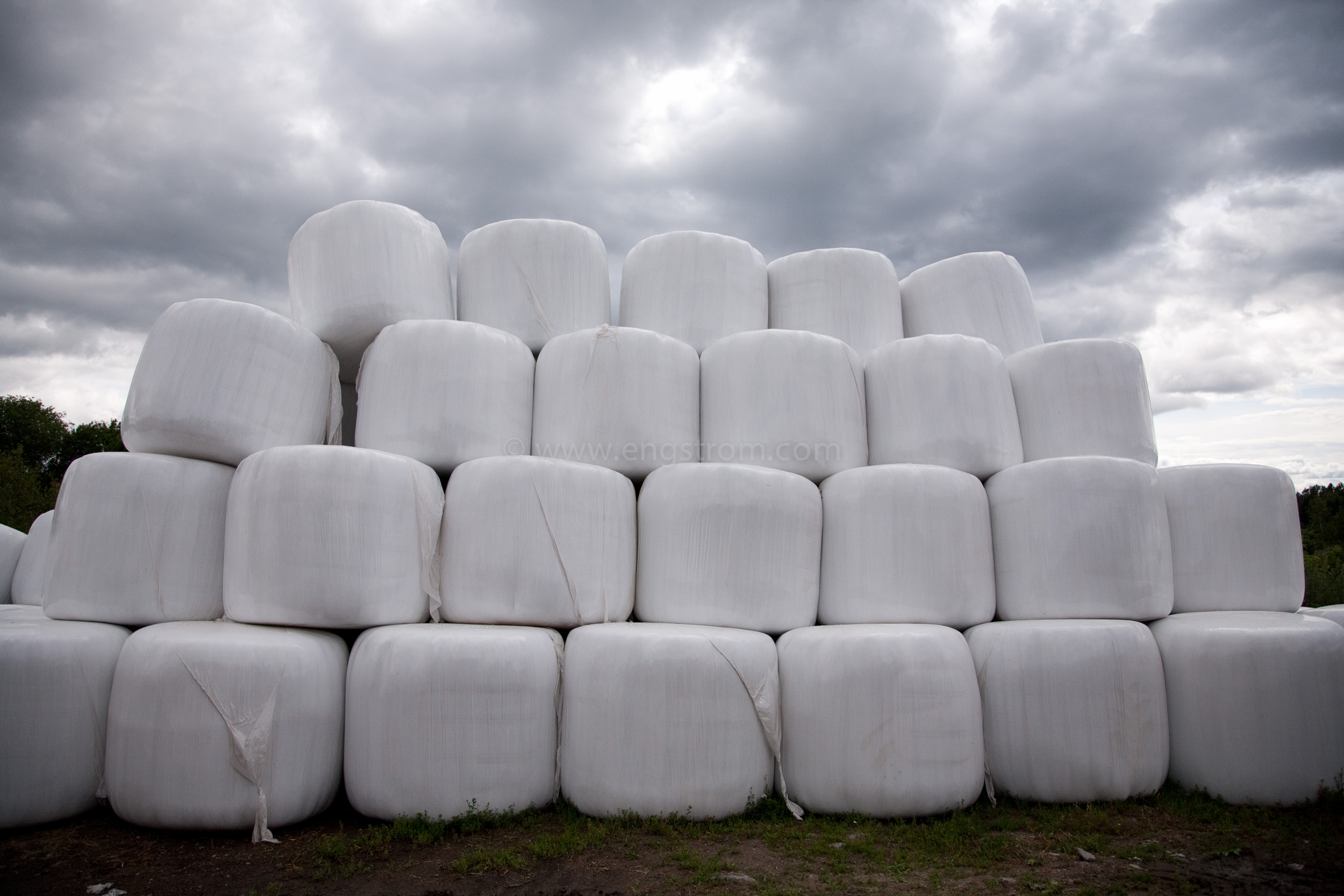 JE_78514, Rundbalslager ensilage, Jonas Engström