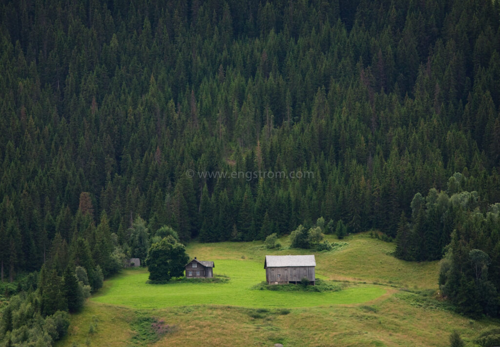 JE_80495, Gård i skogen, Jonas Engström